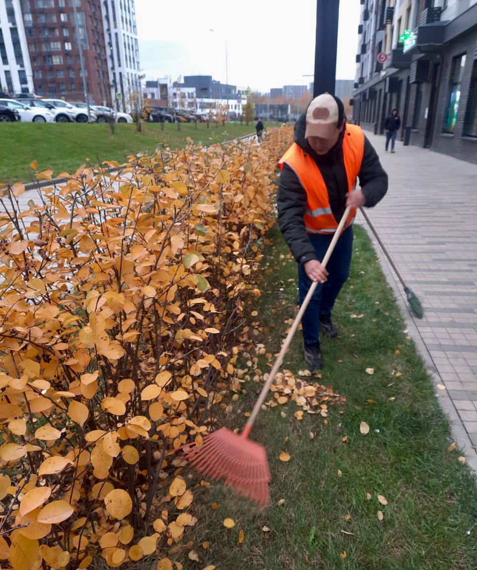 Листья желтые над городом кружатся